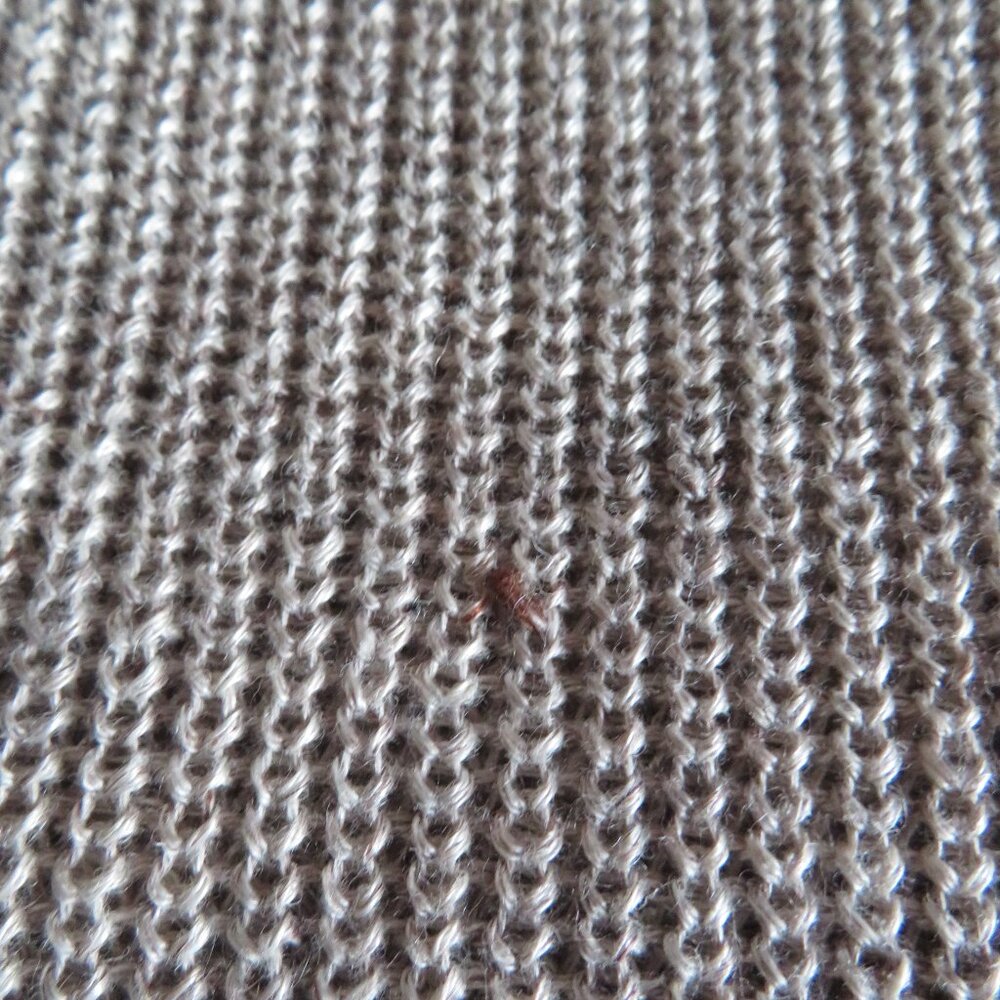 Eileen Fisher Organic Linen Melange Boat Neck Top - Tan - Size Large - NWT - Picture 13 of 13